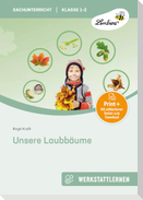 Unsere Laubbäume. Grundschule, Sachunterricht, Klasse 1-2