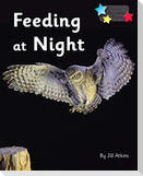 Feeding at Night