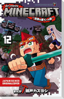 Minecraft 12