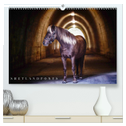 Shetlandpony Kalender (hochwertiger Premium Wandkalender 2025 DIN A2 quer), Kunstdruck in Hochglanz