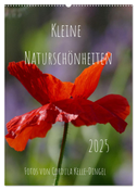 Kleine Naturschönheiten (Wandkalender 2025 DIN A2 hoch), CALVENDO Monatskalender