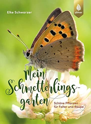 Schwarzer, Elke. Mein Schmetterlingsgarten - Schöne Pflanzen für Falter und Raupe. Ulmer Eugen Verlag, 2022.