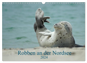 Robben an der Nordsee (Wandkalender 2024 DIN A3 quer), CALVENDO Monatskalender