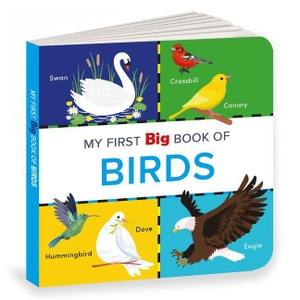 Books, Penguin. My First Big Book of Birds - Illustrated Board Book of Birds for PreSchool Kids, Toddlers | Book for 1+ [Penguin Early Learning Series]. Penguin Random House SEA Pte. Ltd - Hub Acct, 2025.