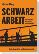 Schwarzarbeit - Steuerfahnder Josi Bachler ermittelt wieder