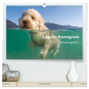 Lagotto Romagnolo - Wasserspiele (hochwertiger Premium Wandkalender 2024 DIN A2 quer), Kunstdruck in Hochglanz