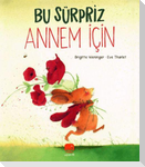 Bu Sürpriz Annem Icin