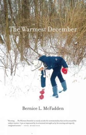 McFadden, Bernice L. The Warmest December. Akashic Books, Ltd., 2012.