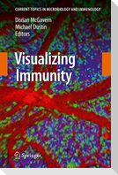 Visualizing Immunity