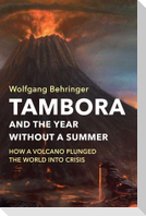 Tambora and the Year without a Summer