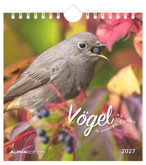 Vögel in unserem Garten 2027. ALPHA EDITION GmbH, 2026.