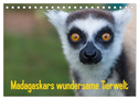 Madagaskars wundersame Tierwelt (Tischkalender 2025 DIN A5 quer), CALVENDO Monatskalender