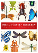 Die schönsten Insekten (Wandkalender 2024 DIN A3 hoch), CALVENDO Monatskalender