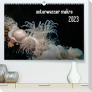 unterwasser makro 2023 (Premium, hochwertiger DIN A2 Wandkalender 2023, Kunstdruck in Hochglanz)