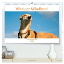 Witziger Windhund - Portugiesischer Galgo (hochwertiger Premium Wandkalender 2024 DIN A2 quer), Kunstdruck in Hochglanz