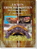 Zacken-Erdschildkröten