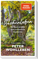 Buchenleben