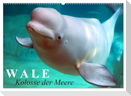 Wale - Kolosse der Meere (Wandkalender 2025 DIN A2 quer), CALVENDO Monatskalender