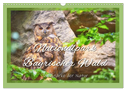 Nationalpark Bayrischer Wald - Die Stärke der Natur (Wandkalender 2024 DIN A3 quer), CALVENDO Monatskalender