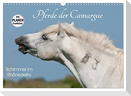 Pferde der Camargue ¿ Schimmel im Rhônedelta (Wandkalender 2024 DIN A3 quer), CALVENDO Monatskalender