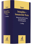 Intangibles - Immaterielle Werte