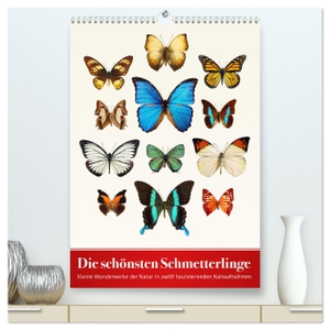 Art Print, Wildlife. Die schönsten Schmetterlinge (hochwertiger Premium Wandkalender 2024 DIN A2 hoch), Kunstdruck in Hochglanz - Kleine Wunderwerke der Natur in zwölf faszinierenden Nahaufnahmen. Calvendo Verlag, 2023.
