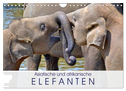 Asiatische und afrikanische Elefanten (Wandkalender 2024 DIN A4 quer), CALVENDO Monatskalender