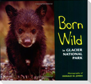 Born Wild in Glacier National Park
