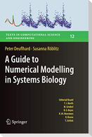 A Guide to Numerical Modelling in Systems Biology
