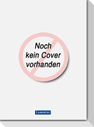 Methodenhandbuch Systemsprenger:innen