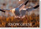 SNOW GEESE (Wall Calendar 2022 DIN A3 Landscape)