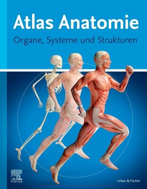Atlas Anatomie - Organe, Systeme und Strukturen. Urban & Fischer/Elsevier, 2019.