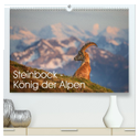 Steinbock - König der Alpen (hochwertiger Premium Wandkalender 2024 DIN A2 quer), Kunstdruck in Hochglanz