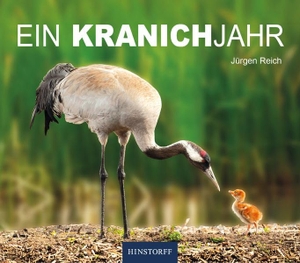 Reich, Jürgen. Ein Kranichjahr. Hinstorff Verlag GmbH, 2026.