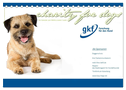 Charity for Dogs - der Kalender zum Wohle unserer Hunde (Tischkalender 2024 DIN A5 quer), CALVENDO Monatskalender