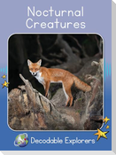 Nocturnal Creatures