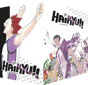 Furudate, Haruichi. Haikyu!! Sammelbox 4 - Band 40 mit Sammelschuber. Pegasus Manga, 2024.