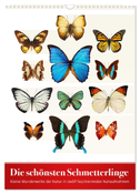 Die schönsten Schmetterlinge (Wandkalender 2025 DIN A3 hoch), CALVENDO Monatskalender