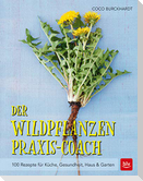 Der Wildpflanzen Praxis-Coach