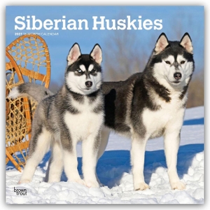 Publishers, Browntrout. Siberian Huskies - Siberian Husky 2027 - 16-Monatskalender - Original BrownTrout-Kalender [Mehrsprachig] [Kalender]. Browntrout Verlags GmbH, 2026.