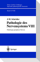 Pathologie des Nervensystems VIII