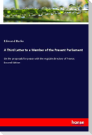 A Third Letter to a Member of the Present Parliament