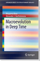 Macroevolution in Deep Time