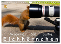 Eichhörnchen (Wandkalender 2024 DIN A4 quer), CALVENDO Monatskalender