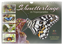 Schmetterlinge im Tropenparadies (Wandkalender 2024 DIN A4 quer), CALVENDO Monatskalender