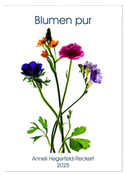 Blumen pur (Wandkalender 2025 DIN A2 hoch), CALVENDO Monatskalender