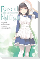 Rascal Does Not Dream of a Nightingale (light novel)