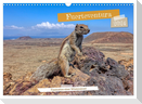 Fuerteventura - Faszination einer Wüsteninsel (Wandkalender 2024 DIN A3 quer), CALVENDO Monatskalender