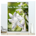 Hostas Herzblattlilien Funkien (hochwertiger Premium Wandkalender 2024 DIN A2 hoch), Kunstdruck in Hochglanz