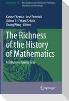 The Richness of the History of Mathematics